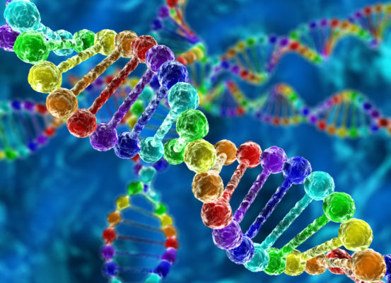 Genetics