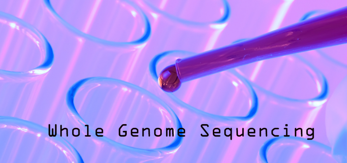 Whole Genome Sequencing Shows New Way for Faster Diagnosis of Rare Diseases