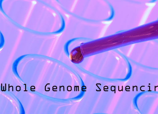 Whole Genome Sequencing Shows New Way for Faster Diagnosis of Rare Diseases