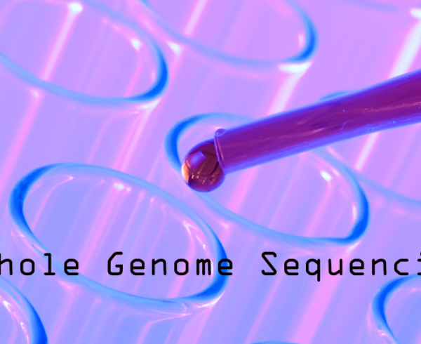 Whole Genome Sequencing Shows New Way for Faster Diagnosis of Rare Diseases
